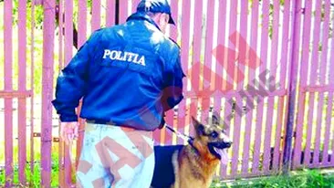 Lupul Gypsy, spaima hotilor