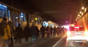 Galerie foto - poza 4