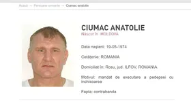 Galerie foto - poza 2