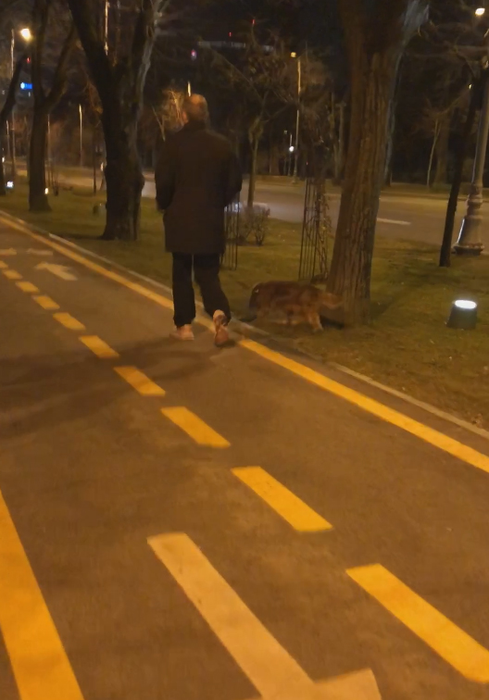 Mircea Geoană și-a scos câinele la plimbare, la miezul nopții