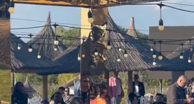 Galerie foto - poza 2