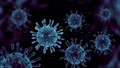 Oamenii de știință au descoperit un virus gigantic care se reproduce într-un mod complet unic