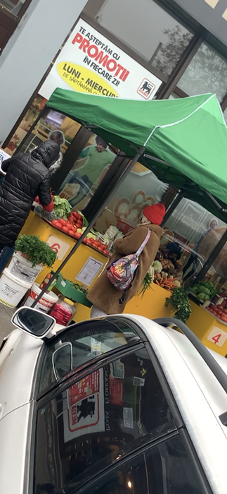 Gina Pistol și-a cumpărat cele mai proaspete fructe și legume