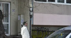 Galerie foto - poza 1