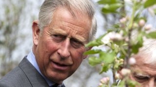 Printul Charles si-a amanat vizita in Romania, invocand motive de sanatate