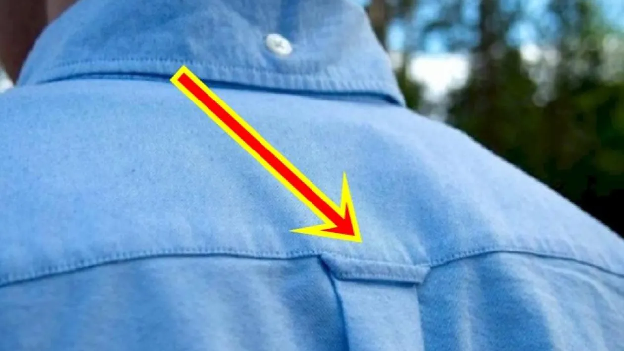 La ce folosește, de fapt, gaica din spatele cămășilor. Este extrem de practică