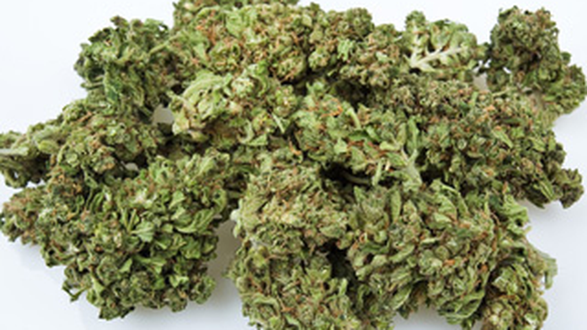 Doi barbati din Covasna, fermieri de cannabis!