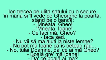 BANC | Ion trecea pe ulița satului cu o secure în mână și îl vede pe Gheorghe la poartă
