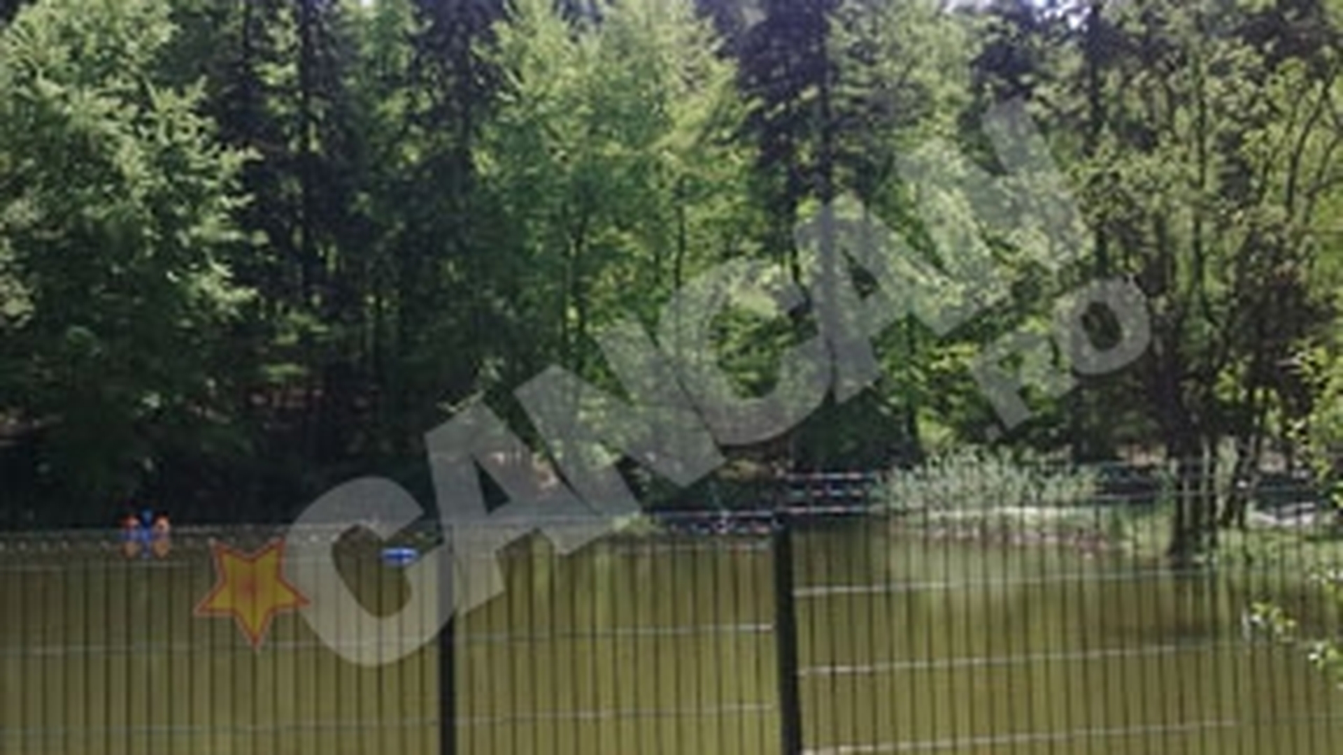 Pesti exotici de la Zoo Brasov, tinta hotilor