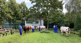 Galerie foto - poza 3