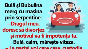 BANC | Bulă și Bubulina merg cu mașina prin serpentine: "Dragul meu, doresc să divorțez"