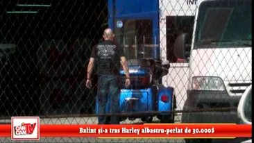 Pele traieste pe cai mari! Balint si-a tras Harley albastru-perlat de 30.000$