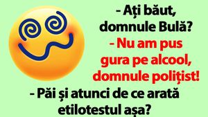 BANC | "Ați băut, domnule Bulă?"