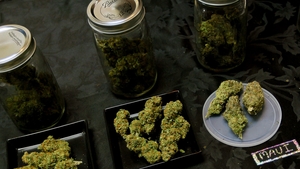 Captura record! Politia a confiscate sapte tone de cannabis