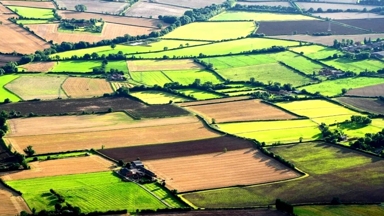 Județul din România în care un hectar de pământ s-a vândut cu 280.000 de euro. Care este motivul prețului uriaș