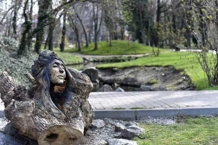 Arborii doborâți prin parcuri au revenit la viață datorită "sculptorului cu drujba"