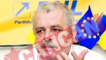 Tunurile pe Decebal Traian Remes