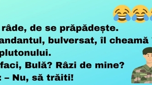 Bancul sfârșitului de săptămână | Bulă în armată