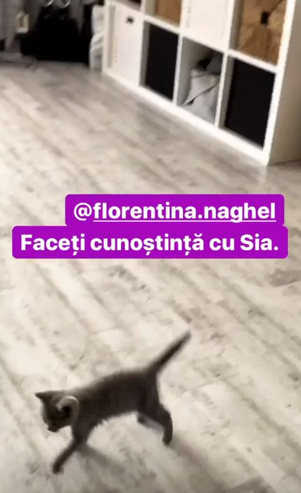 Andreea Perju, de urgență pe mâinile medicilor! În ce incident nefericit a fost implicată actrița din serialul Profu’