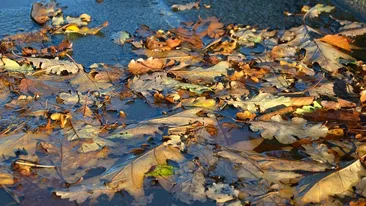 Se întorc ploile! Anunț de ultimă oră de la meteorologi