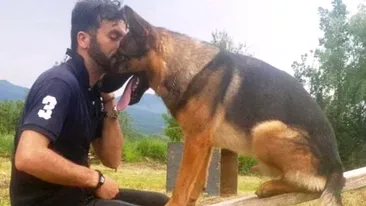 Câinele-erou de la Amatrice a fost omorât! Deși a salvat zeci de vieți, animalul a fost ucis tot de oameni