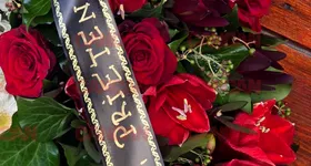 Galerie foto - poza 2