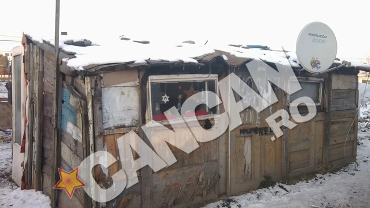 Elvetianca Salome, stabilita in tigania Clujului, si-a tencuit baraca