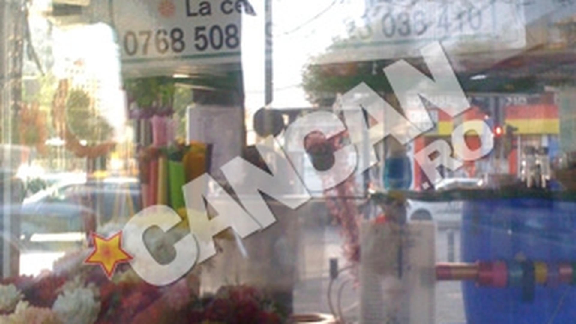 N-o sa ti vina sa crezi! Vezi aici ce legatura exista intre creatoarea de moda Zina Dumitrescu si o florarie de cartier!