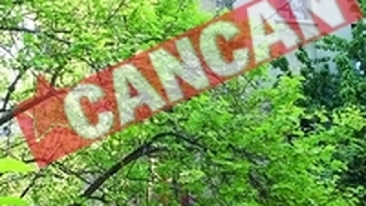 Rednic se lupta cu doi batrani pentru o casa revendicata