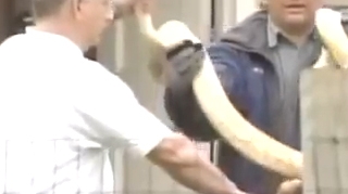 VIDEO Pitonul unei femei a omorat-o pe fiica de doi ani a acesteia! Pedeapsa ei: 35 de ani de inchisoare!