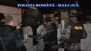 Un oltean cultiva cannabis în 29 de ghivece și vindea drogurile în Caracal. Cum l-au prins polițiștii | VIDEO