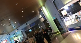 Galerie foto - poza 2