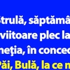 BANC | Bulă în Veneția