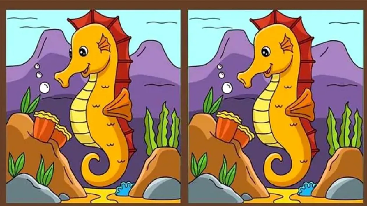 Test IQ | Există 3 diferențe între aceste imagini, însă doar cei mai inteligenți le pot observa