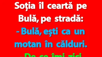 BANC | „Bulă, ești ca un motan în călduri”