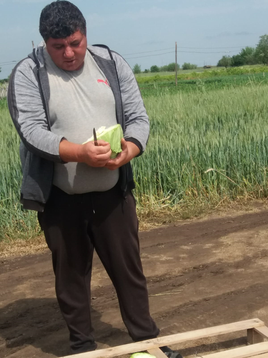 Fermierii din Moțăței sunt mulțumiți de recoltă, dar se tem că prețul va scădea din cauza producției mari