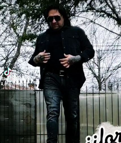 Luis Stan, ”Regele viralelor” de pe TikTok