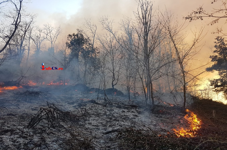 Incendiu puternic la marginea Reșiței, 150 de case în pericol. Culmea, localnicii fac selfie-uri | VIDEO