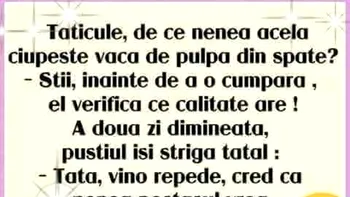 BANCUL ZILEI | De ce se ciupesc vacile de pulpa din spate?