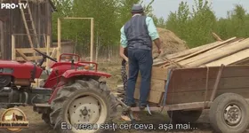 Galerie foto - poza 4