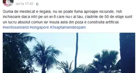 Galerie foto - poza 3