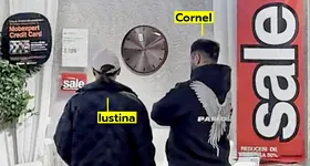 Galerie foto - poza 4