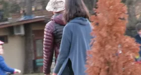 Galerie foto - poza 1