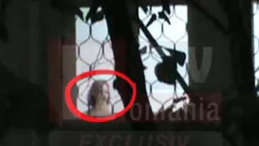 Violatoarea taximetristului il ameninta: Lasa ca vine Miguel din Spania, avionul e pe drum, are cine sa-l caute acasa! Daca e sa ma inchida, Miguel plateste si 1 milion de euro sa ies