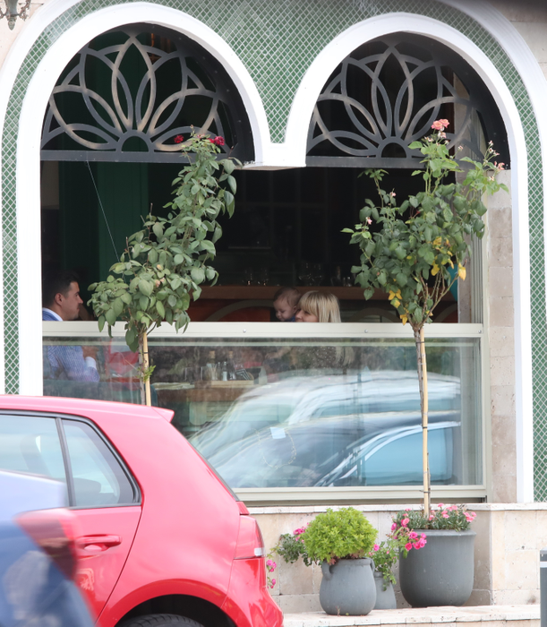 Elena Udrea și Adrian Alexandrov, la restaurant alături de micuța lor