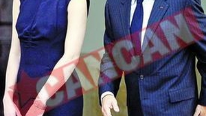 Sora Carlei munceste pe gratis pentru Sarkozy