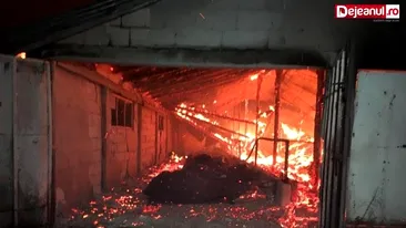 Incendiu la o fermă de animale din Maramureș. Două persoane au fost găsite carbonizate
