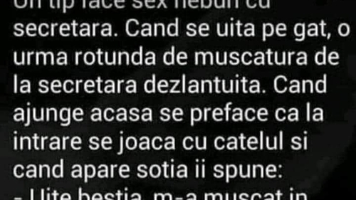 BANC | Un tip face amor nebun cu secretara. Când se uită pe gât, vede o urmă de mușcătură de la secretara dezlănțuită