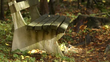 A murit pe banca din fata casei spulberat de o masina