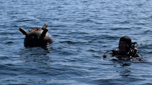 Tensiune la Marea Neagră. Posibile mine marine, observate aproape de mal